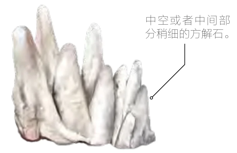 孔公孽