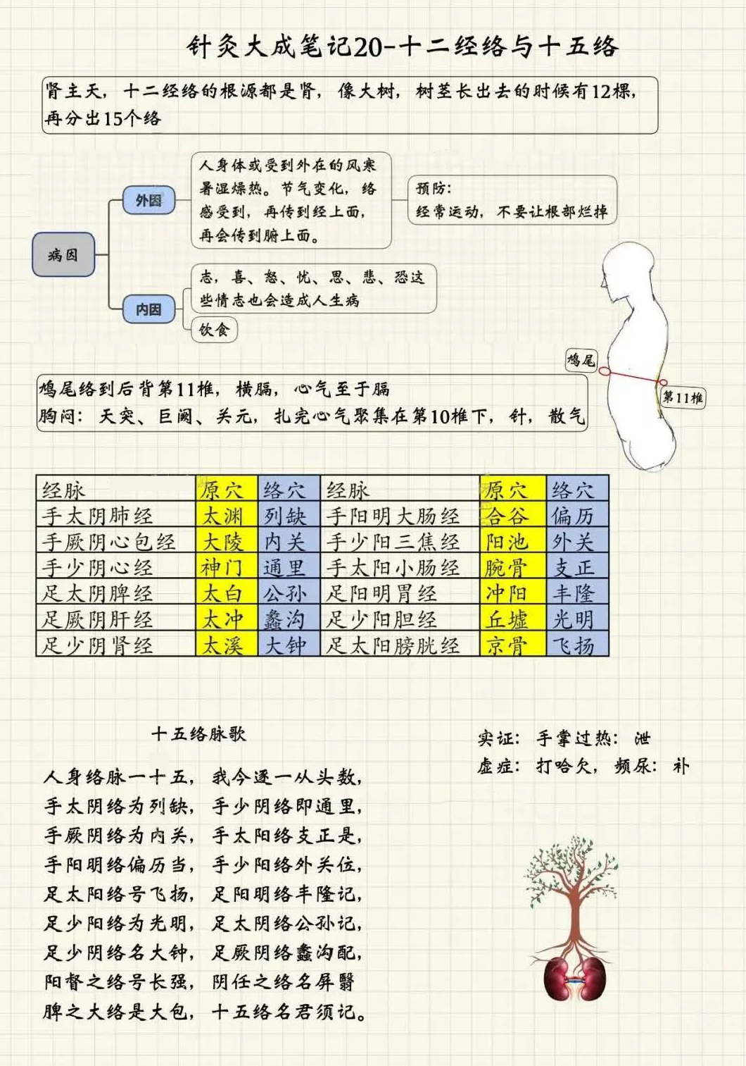 十二经络与十五络脉